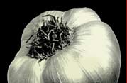 image of a clove of garlic