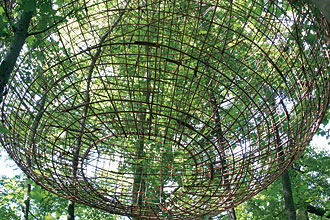 Floating globe created from branches, hanging in the forest.